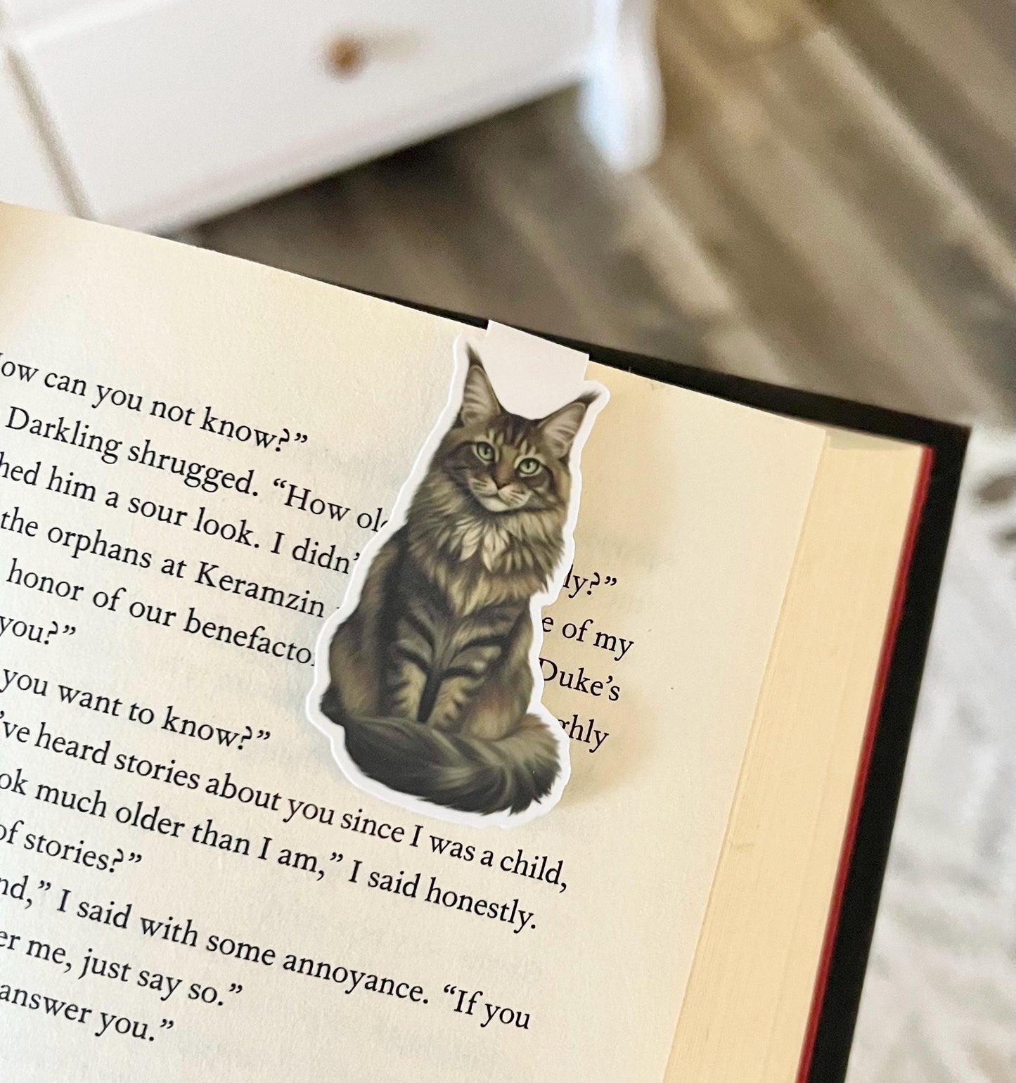 Magnetic bookmark of a semi realistic, cartoon style Maine coon cat
