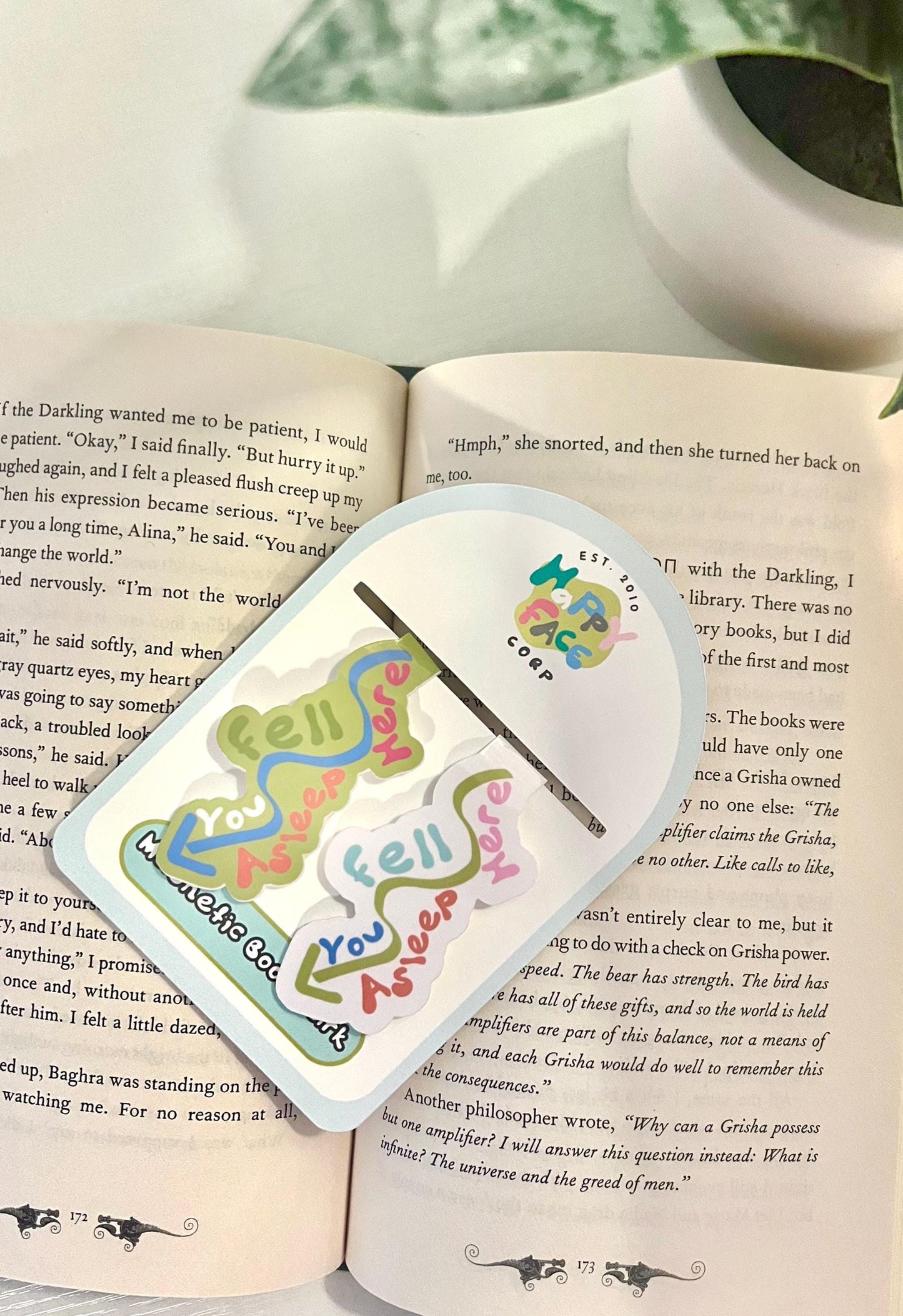 Packaging for the set of bookmarks