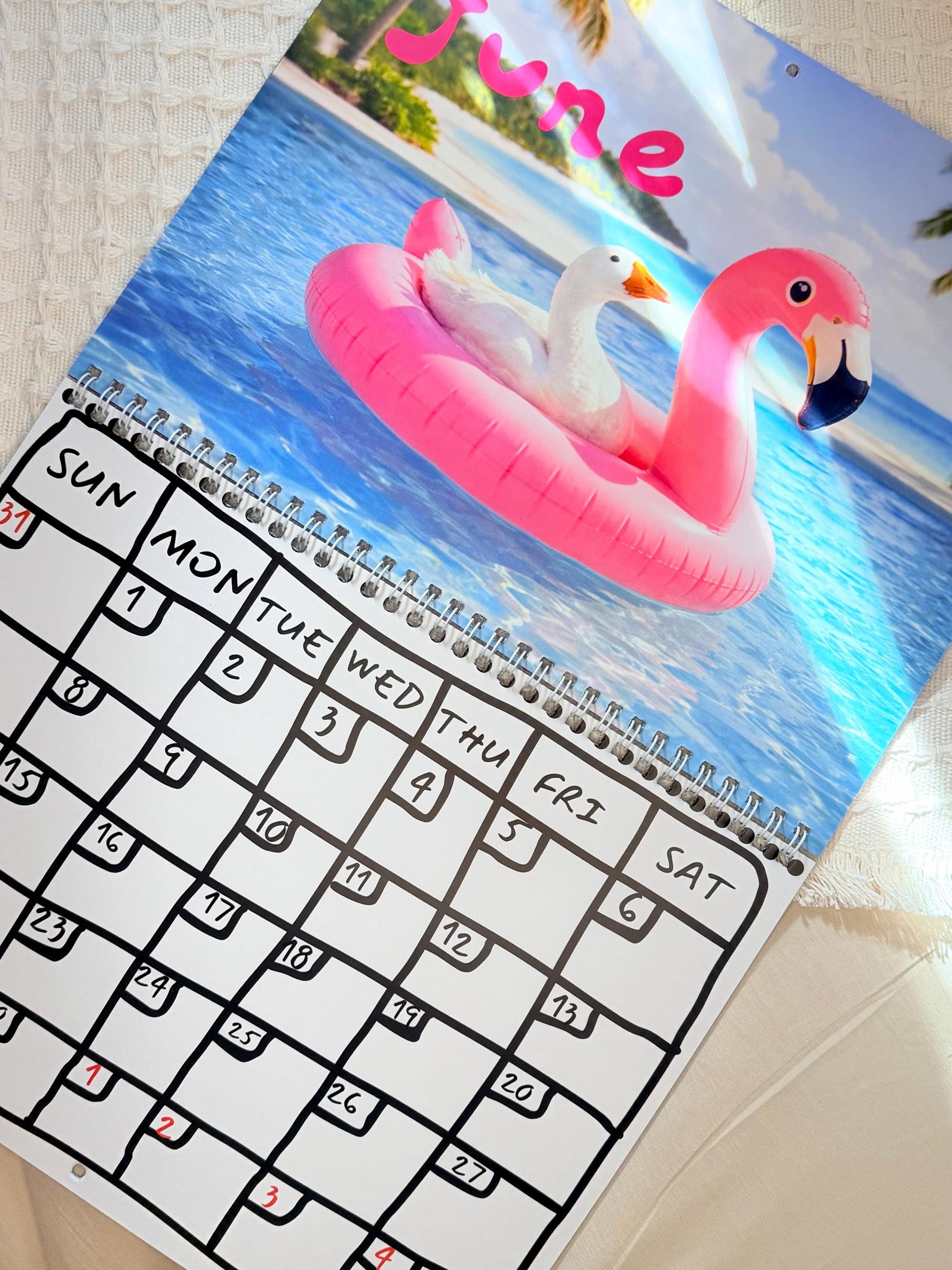 This shows the month of June with the silly goose swimming in a pink flamingo floaty