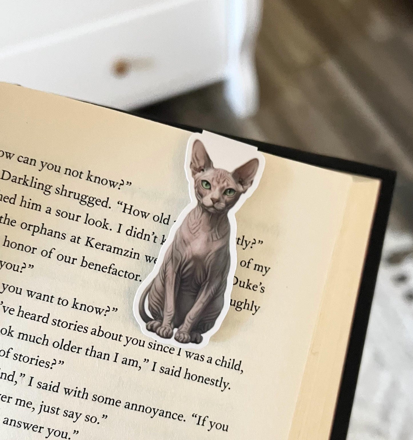 A magnetic bookmark of a semi-realistic, cartoon style sphinx cat