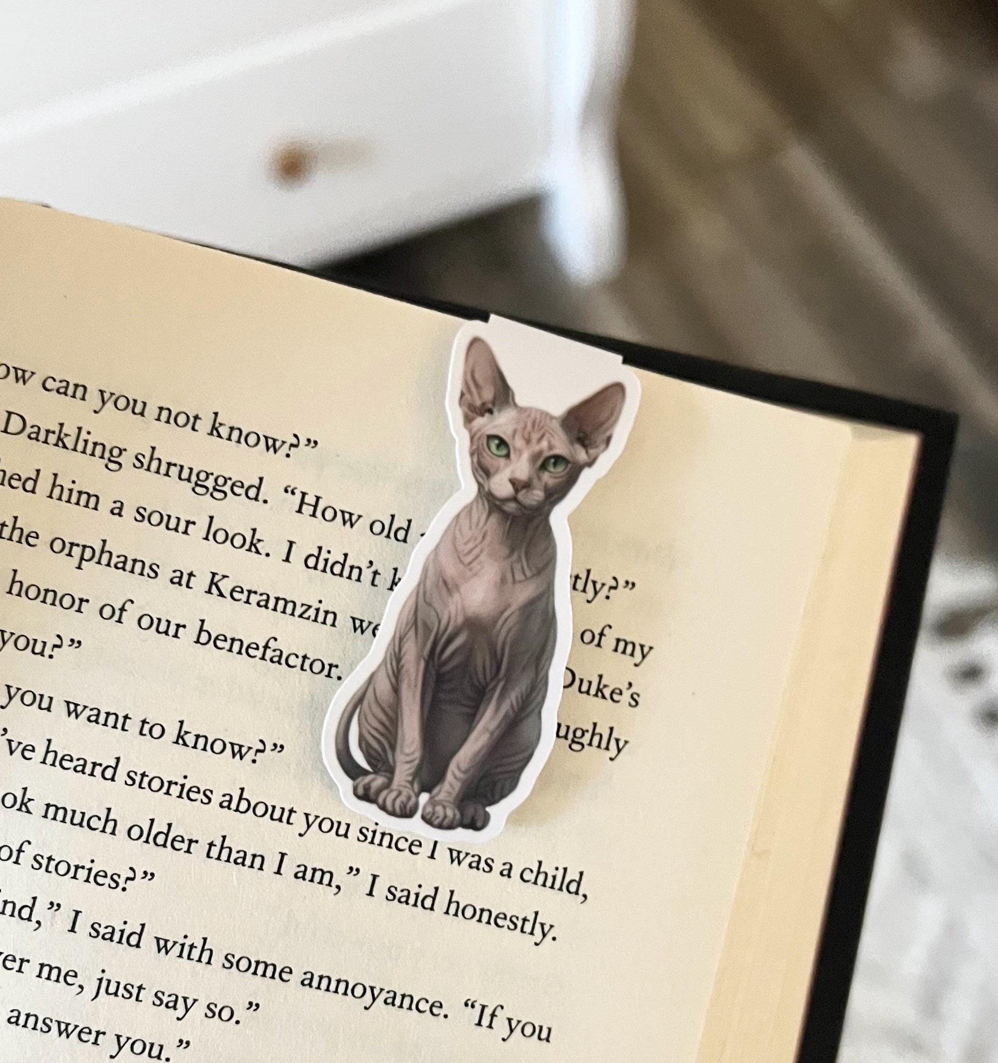 A magnetic bookmark of a semi-realistic, cartoon style sphinx cat