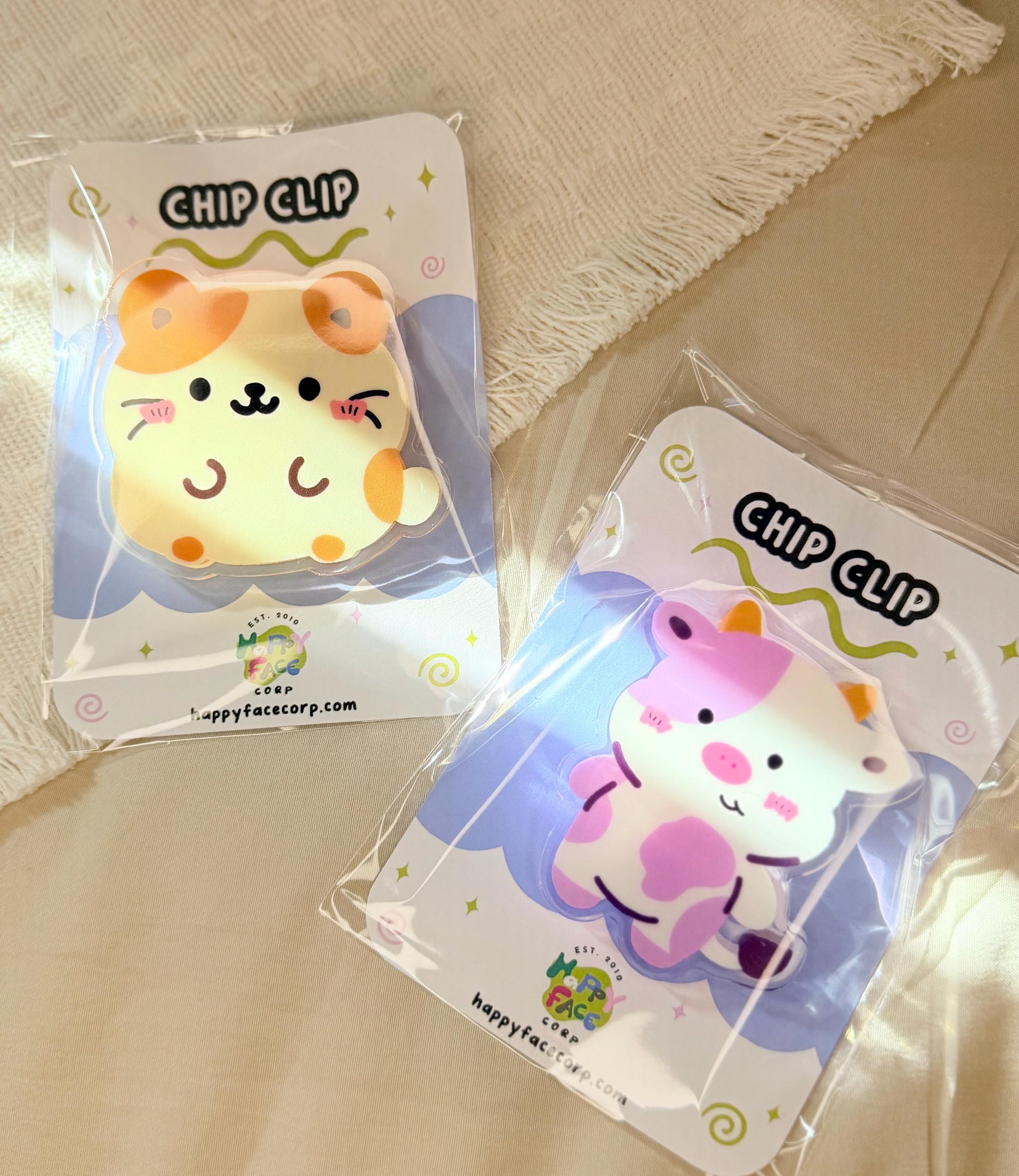 An image of how the chip clips/binder clips are packaged